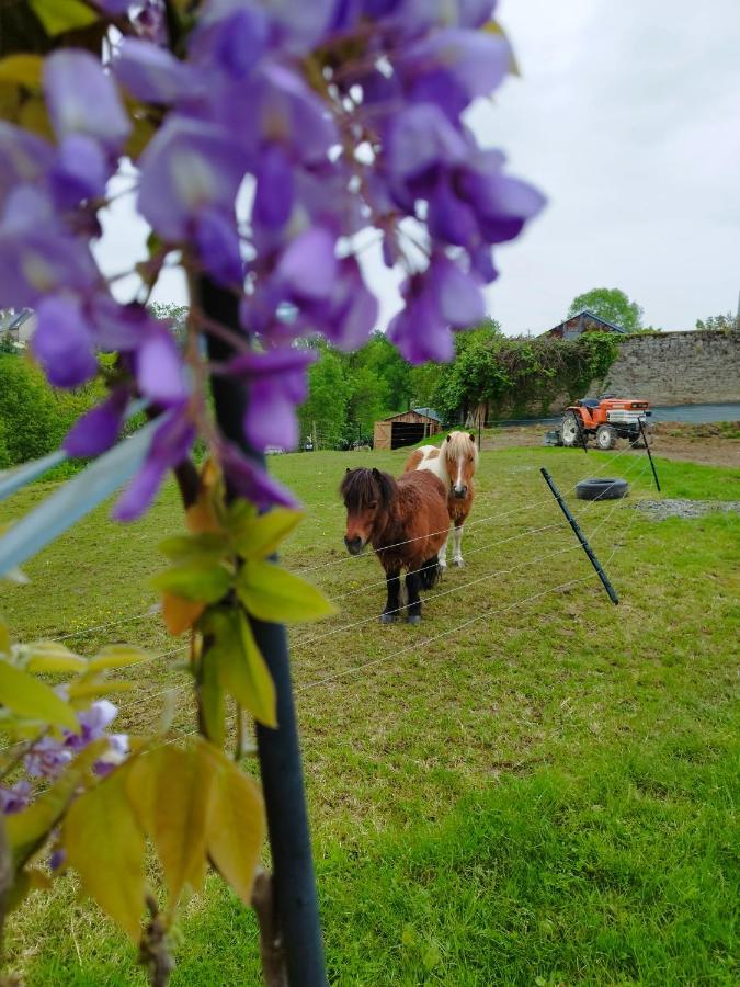 Le Domaine De Pivette Chambre Climatisee Et Insolite Avec Terrasse Privative Avranches Dış mekan fotoğraf